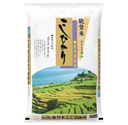 能登米こしひかり 10kg